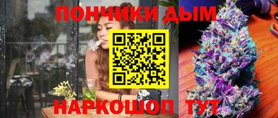 шишки Нальчик
