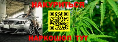шишки Нальчик