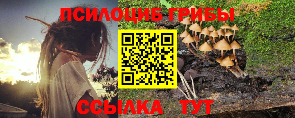Галлюциногенные грибы GOLDEN TEACHER Усть-Илимск